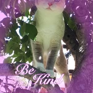 Meet your Posher, Jane